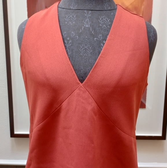 Banana Republic Rust Sheath 2 - Picture 2 of 11